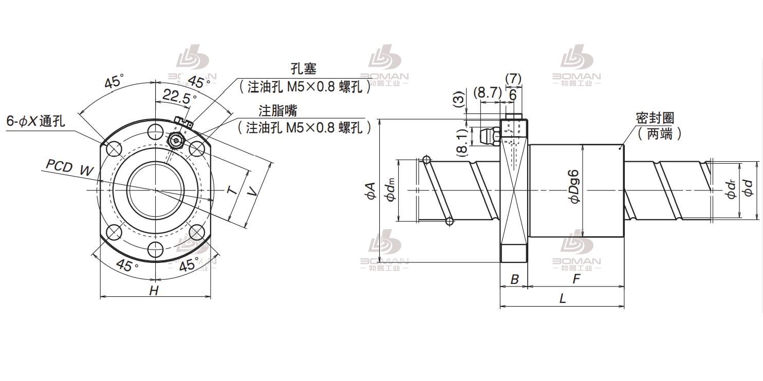 BSS2520-2E-BSS滚珠丝杠螺母