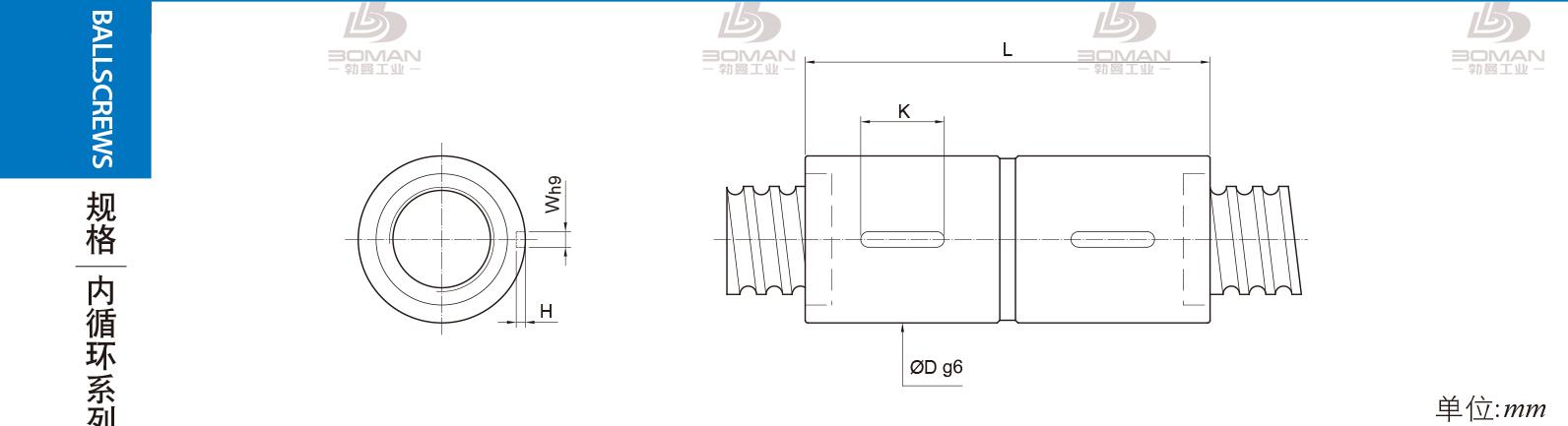 PMI RDIC2506-3 PMI丝杠3D